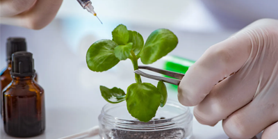 B.Sc Biotechnology